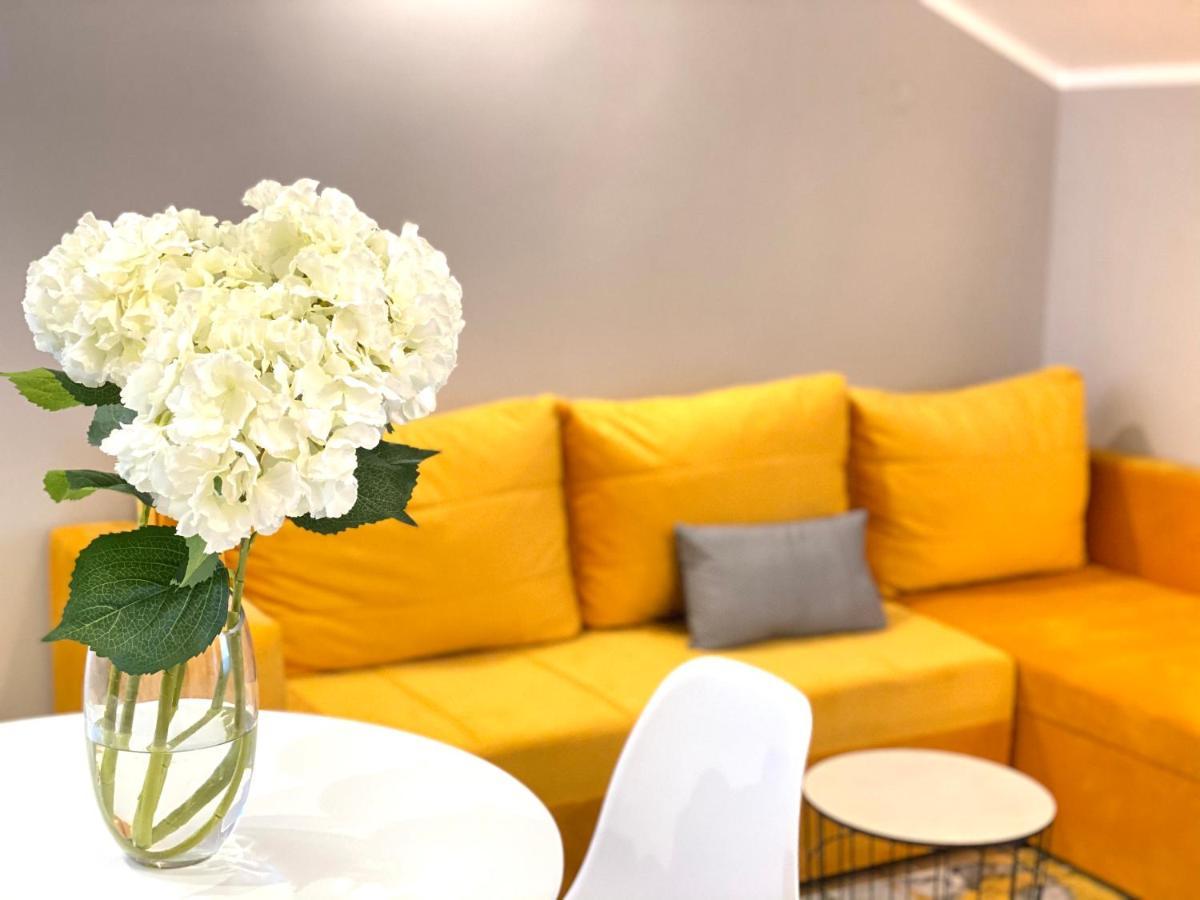 Villa Blanca Risan Dış mekan fotoğraf
