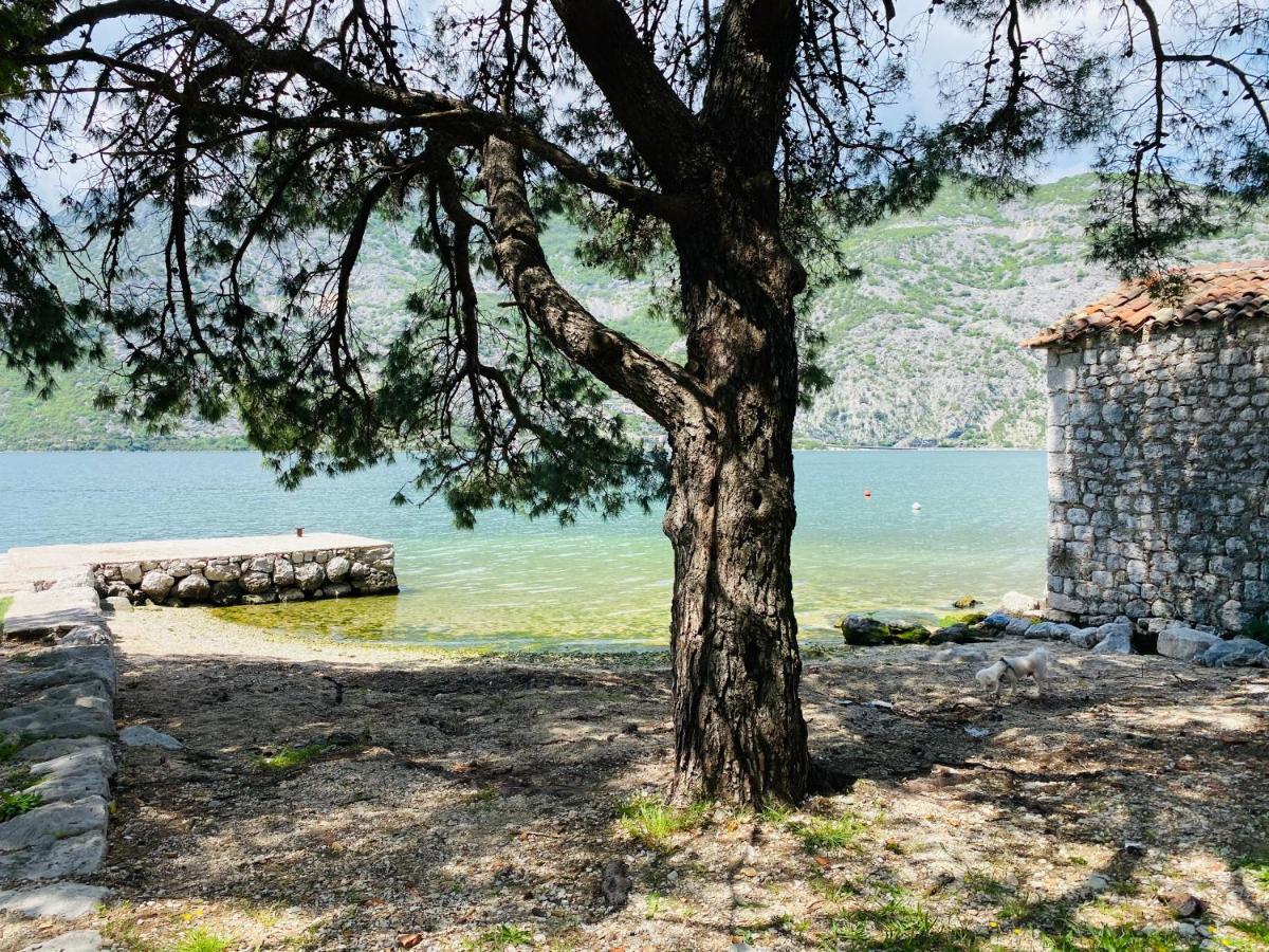 Villa Blanca Risan Dış mekan fotoğraf