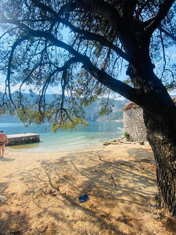 Villa Blanca Risan Dış mekan fotoğraf